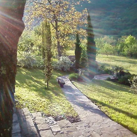 Della Corte *